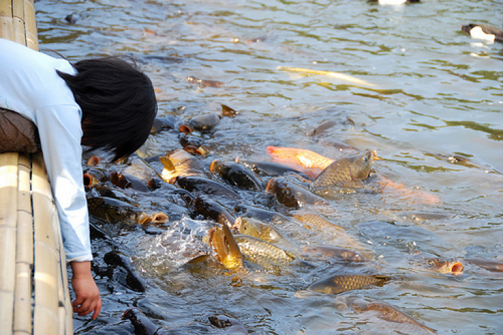 Global Seafood Consumption: Now versus Future (2012 vs 2030)